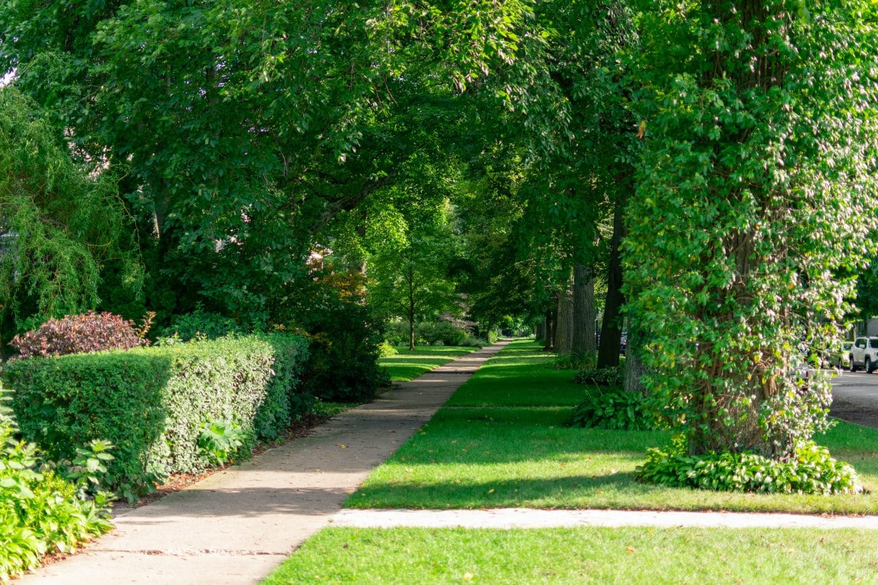 Tree Service Vancouver WA Tree Contractors Northwest Inc