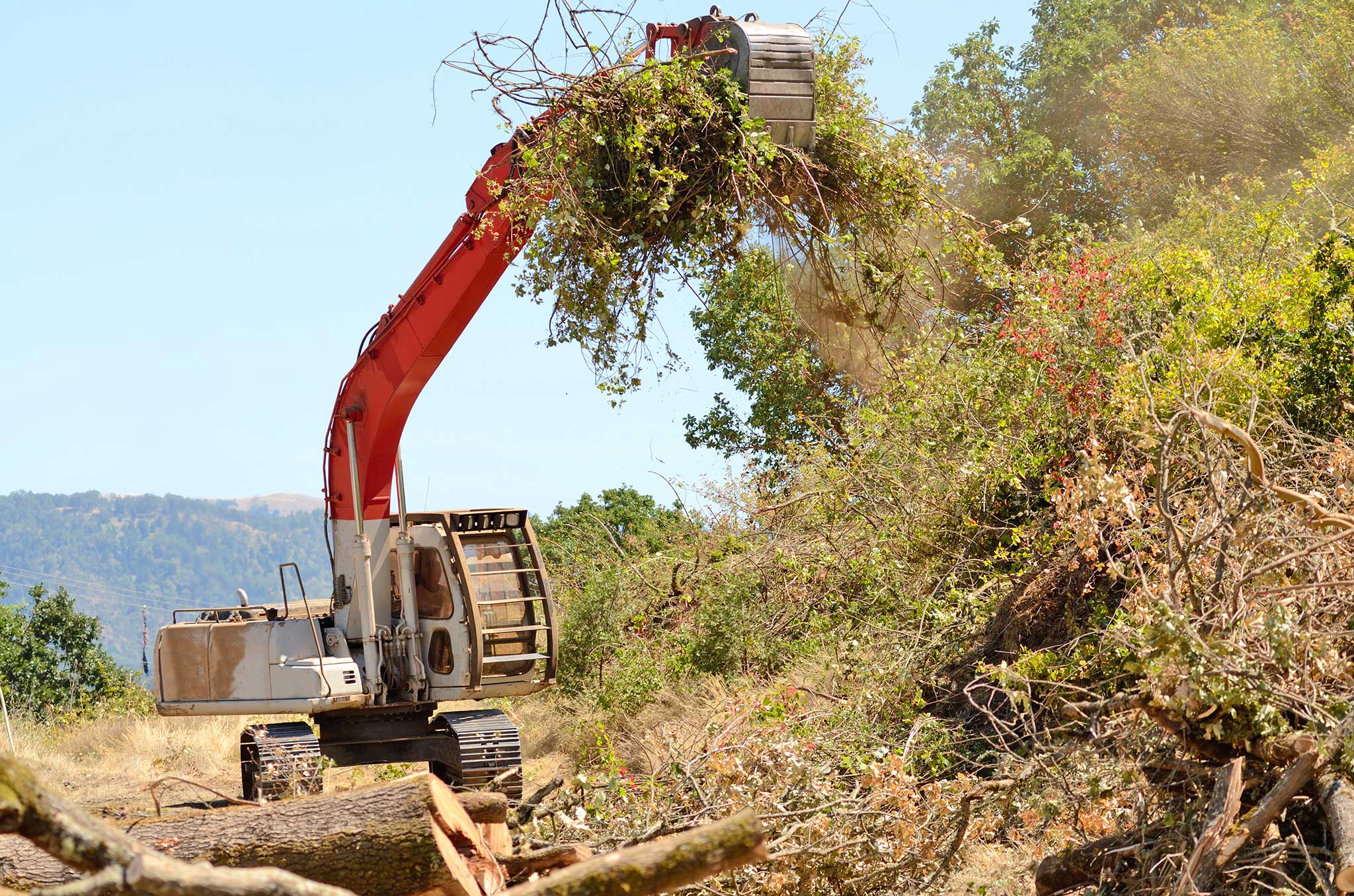 Land Clearing Vancouver WA Tree Contractors Northwest Inc