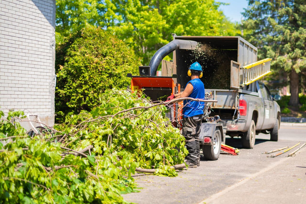 Arborist Vancouver, WA