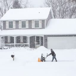 NW Tree Service: How to Prepare Your Trees for Extreme Weather in the Pacific Northwest 2 tree service in winter vancouver