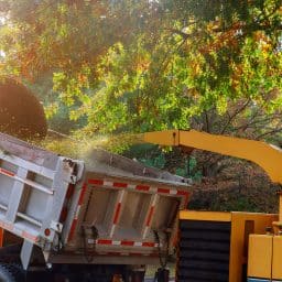 wood chipping service vancouver wa prevents wildfires
