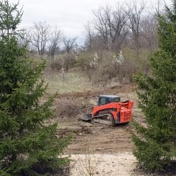 vancouver washington tree service 2025