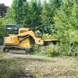 Pre-Clearing Checklists: What Clark County Requires Before You Move a Single Branch 1 clark county land clearing requirements