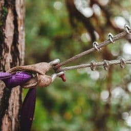 tree cabling benefits for douglas firs