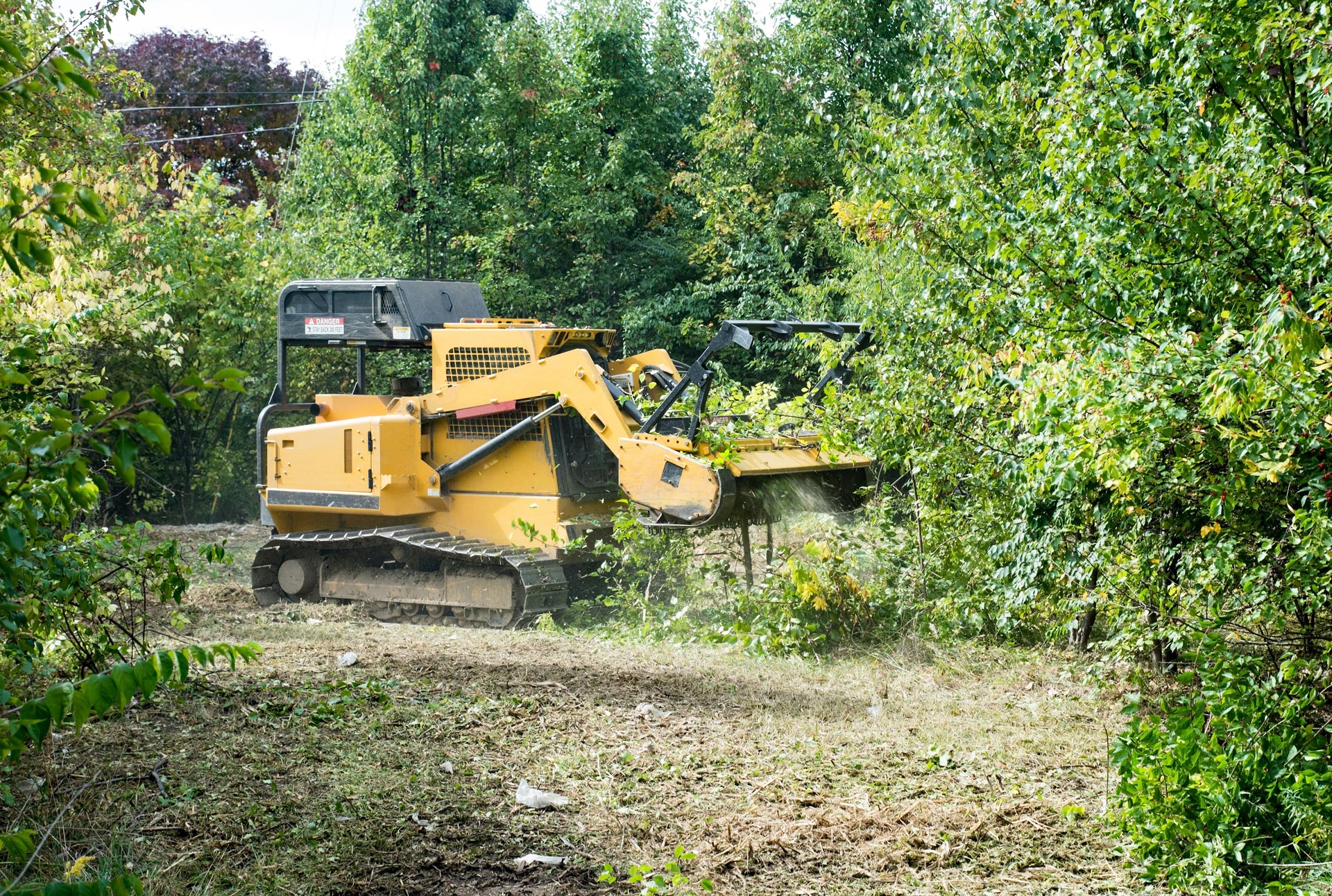 land clearing vs brush removal vs mulching difference