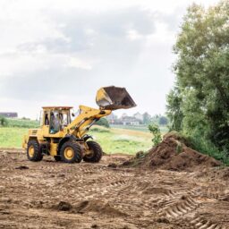 NW Tree Service: When Clark County Property Owners Need Land Clearing Services Before Building 1 Clark county land clearing