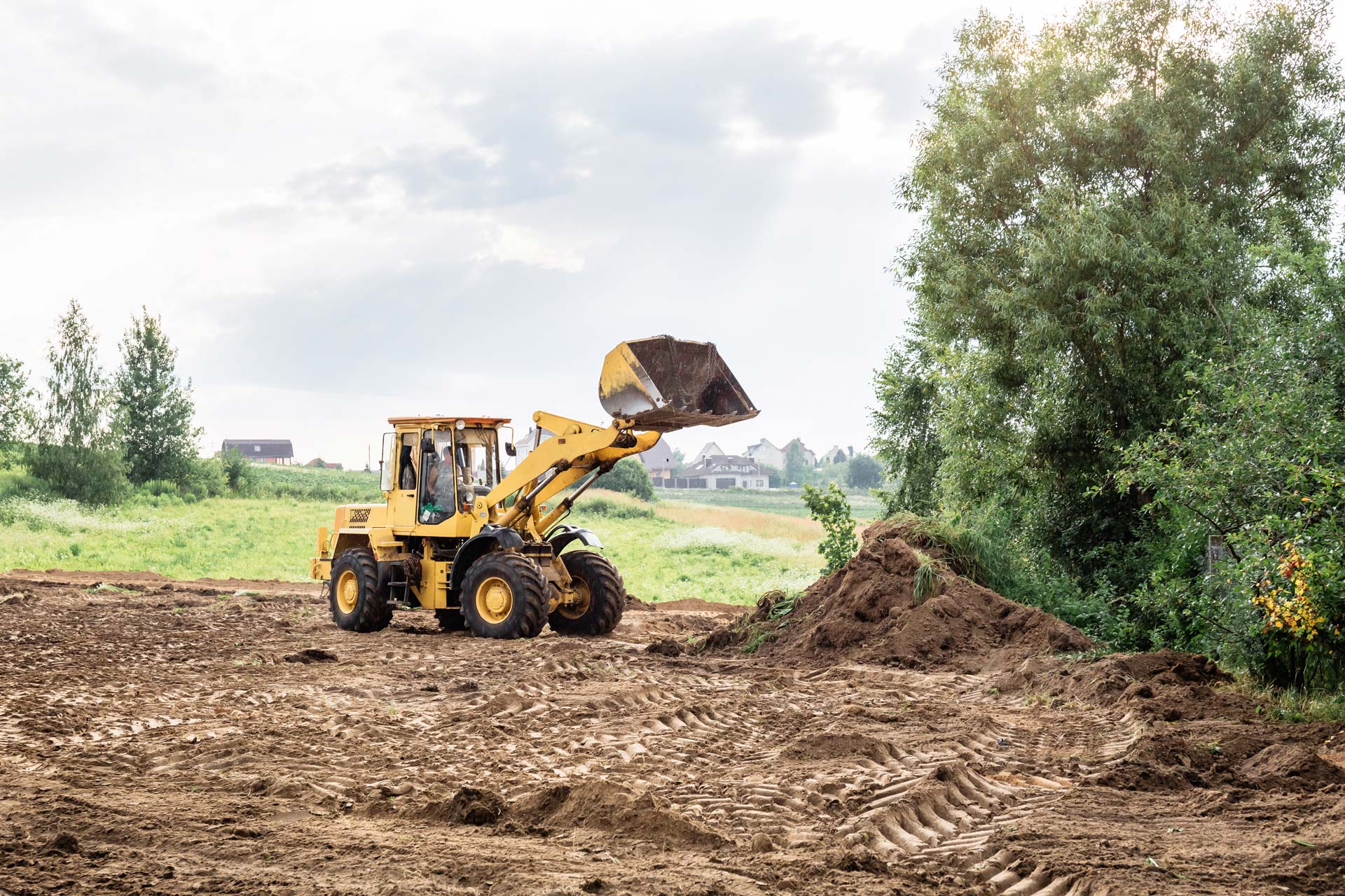 NW Tree Service: When Clark County Property Owners Need Land Clearing Services Before Building 1 Clark county land clearing