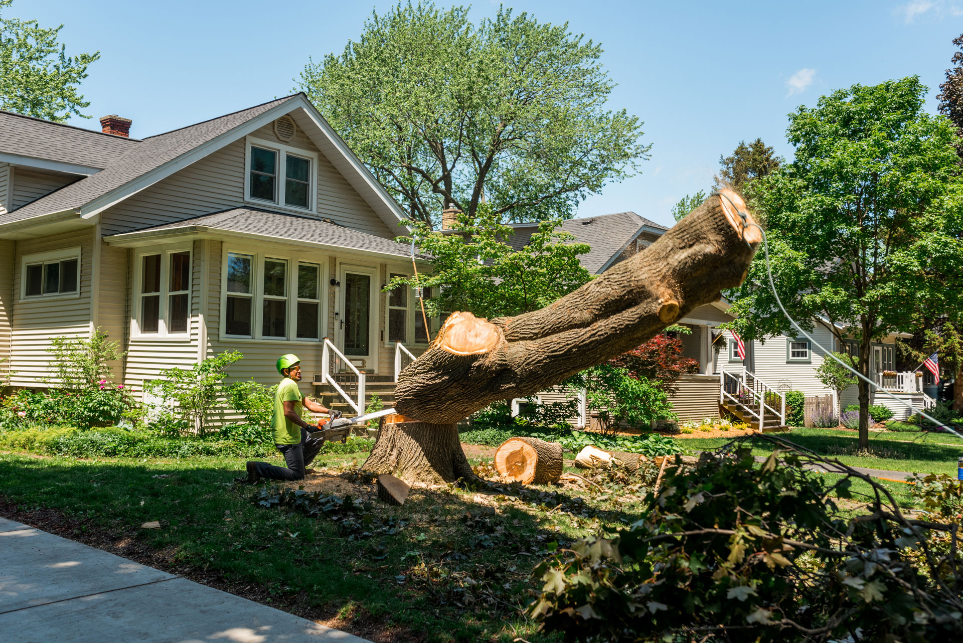 Replanting Requirements After Vancouver WA Tree Removal: What Happens When You Cut Down a Tree in Clark County? 1 replanting requirements after vancouver wa tree removal